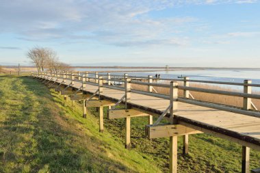 Modern ahşap yürüyüş yolu (bisiklet yolu, tahta yol). Eğlence alanı, orman parkı. Yumuşak güneş ışığı, açık gökyüzü. Baharın başında. Idyllic manzara. Doğa, çevre, ekoloji, eko-turizm, tatiller, hafta sonu
