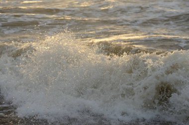 Fırtınadan sonra Baltık kıyıları. Gün batımı, yumuşak güneş ışığı. Su yüzeyi dokusu, çarpan dalgalar, sıçramalar, köpük. Resimli panoramik manzara. Idyllic deniz manzarası. Doğa, çevre, ekoloji temaları