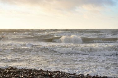 Gün batımında Baltık Denizi. Dramatik gökyüzü, mavi ve pembe parlayan bulutlar, altın güneş ışığı. Dalgalar, su sıçratma. Resimli manzara, deniz manzarası, doğa. Panoramik görünüm,