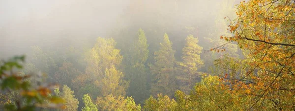 Valle Del Río Gauja Colorido Bosque Dorado Una Nube Espesa — Foto de Stock