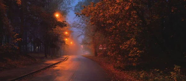 Ένας Άδειος Φωτισμένος Επαρχιακός Ασφαλτοστρωμένος Δρόμος Μέσα Από Δέντρα Και — Φωτογραφία Αρχείου