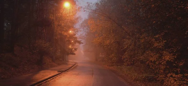 秋天的雨天 一条空旷的 灯火通明的乡间沥青路穿过树林和村庄 街道灯火通明 灯火通明 公路旅行 — 图库照片