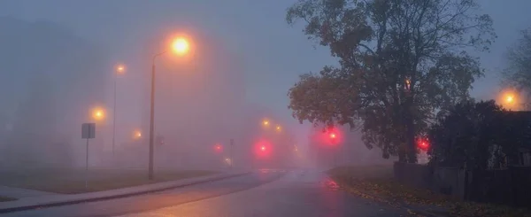Пустая Освещенная Сельская Асфальтовая Дорога Через Деревья Маленький Городок Тумане — стоковое фото