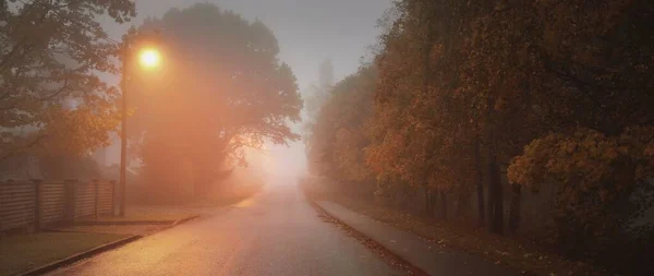 Empty Illuminated Country Asphalt Road Trees Small Town Fog Rainy — Stock Photo, Image