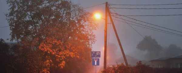 Empty Illuminated Country Asphalt Road Trees Village Fog Rainy Autumn — Stock Photo, Image