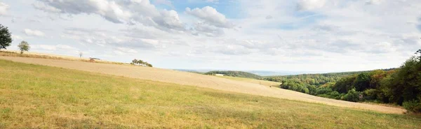 Panoramic View Golden Agricultural Fields Green Forest Hills Village Background — Stock Photo, Image