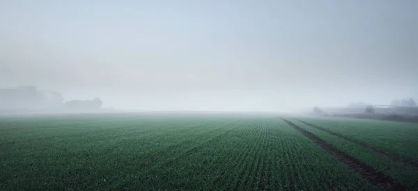 Campo Agrícola Lleno Huellas Tractores Amanecer Luz Luna Estrellas Niebla —  Fotos de Stock