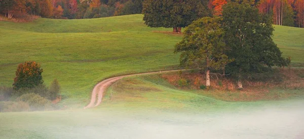 Живописный Вид Воздуха Извилистую Сельскую Дорогу Через Зеленые Холмы Поля — стоковое фото