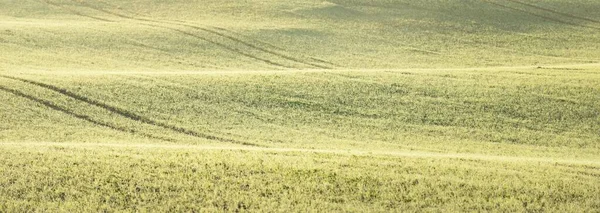 Green Arado Campo Agrícola Com Trilhas Trator Nascer Sol Close — Fotografia de Stock