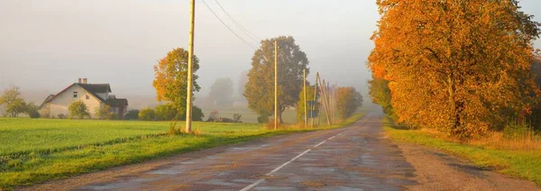 Old Country Asphalt Road Village Fields Forest Electricity Line Close — Stock Photo, Image