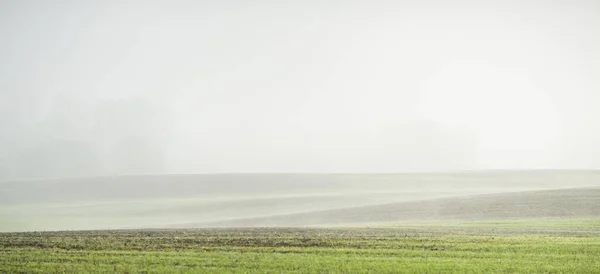 Yeşil Tepeler Tarlaya Sürülmüş Tarlalar Gün Doğumunda Traktör Rayları Ormanlar — Stok fotoğraf