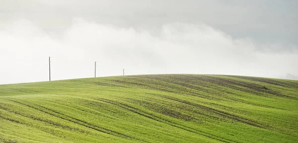 Panoramic View Hills Green Plowed Agricultural Field Electricity Line Close — Stock Photo, Image