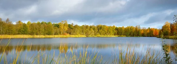 Vista Panoramica Del Lago Foresta Sotto Cielo Drammatico All Alba — Foto Stock