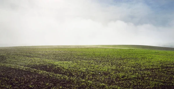 Green Hills Plowed Agricultural Field Tractor Tracks Forest Sunrise Close — Stock Photo, Image