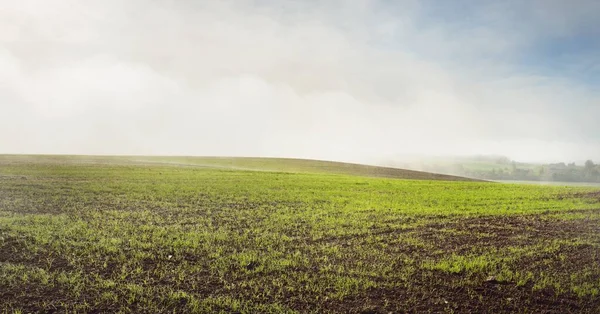 Green Hills Plowed Agricultural Field Tractor Tracks Forest Sunrise Close — Stock Photo, Image