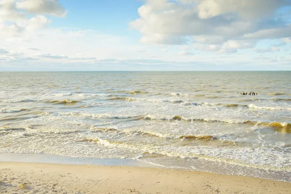 Kumlu bir sahilden (kum tepeleri) Baltık denizinin panoramik görüntüsü. Parlayan bulutlarla, dalgalarla ve su sıçramalarıyla berrak bir gökyüzü. Idyllic deniz manzarası. Sıcak kış havası, iklim değişikliği, doğa