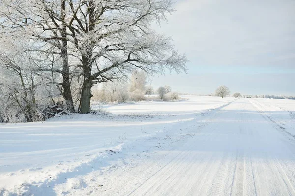 Αγροτικός Δρόμος Μέσα Από Χιονισμένα Χωράφια Αγροτική Περιοχή Θέα Από — Φωτογραφία Αρχείου