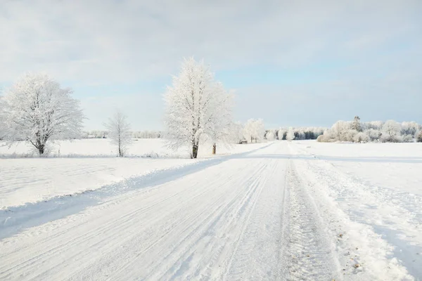 乡间小路穿过白雪覆盖的田野 乡村地区 从车里看到的白雪飘扬欧洲 大自然 圣诞节假期 遥远的地方 冬天的轮胎 危险的驾驶概念 — 图库照片
