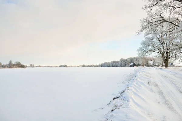 Pathway Snow Covered Fields Village Sunny Day Country Houses Background — Photo