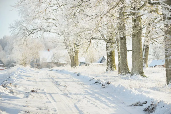Güneşli bir günde karla kaplı tarlaların ve köyün içinden geçen yol. Arka plandaki kır evleri. Idyllic manzara. Noel tatilleri, eko turizm, yürüyüş, kayak, uzak yerler, off-road teması