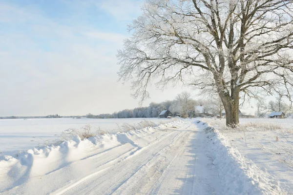 Pathway Snow Covered Fields Village Sunny Day Country Houses Background — 스톡 사진