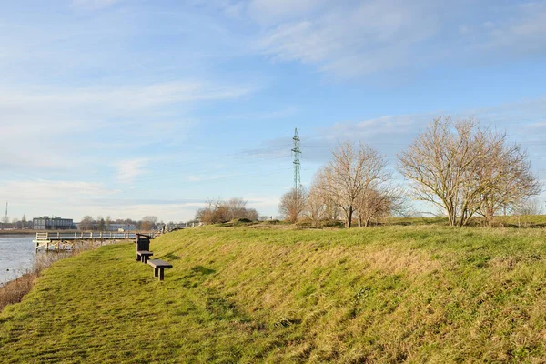Modern dinlenme alanı, orman parkı, göl. Tahta banklar, masalar. Kamp alanı. Yumuşak güneş ışığı, açık gökyüzü. Baharın başında. Idyllic manzara. Doğa, çevre, ekoloji, eko-turizm, tatiller, hafta sonu