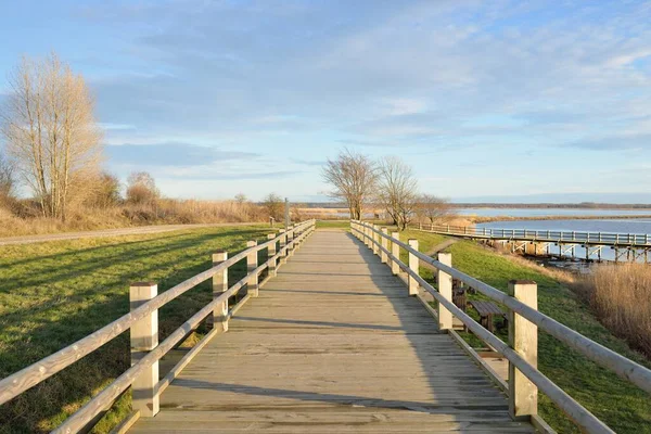 Modern ahşap yürüyüş yolu (bisiklet yolu, tahta yol). Eğlence alanı, orman parkı. Yumuşak güneş ışığı, açık gökyüzü. Baharın başında. Idyllic manzara. Doğa, çevre, ekoloji, eko-turizm, tatiller, hafta sonu
