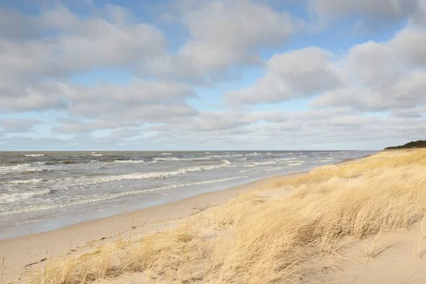 Östersjön Efter Stormen Sanddyner Gyllene Sanddyn Gräs Majestätisk Vintergrön Tallskog — Stockfoto