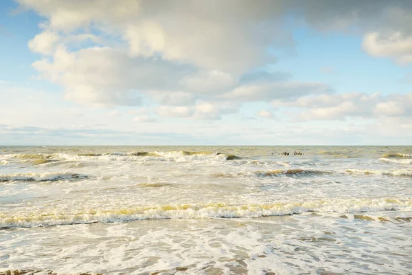 Kumlu bir sahilden (kum tepeleri) Baltık denizinin panoramik görüntüsü. Parlayan bulutlarla, dalgalarla ve su sıçramalarıyla berrak bir gökyüzü. Idyllic deniz manzarası. Sıcak kış havası, iklim değişikliği, doğa