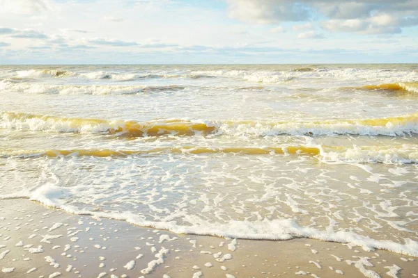 모래가 발트해의 전경을 한눈에 수있다 빛나는 뿌려진 조경을 — 스톡 사진