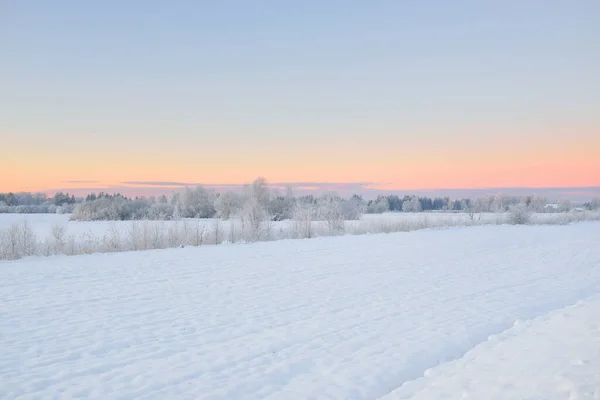 日の出時の雪原 森の牧草地 の大気の風景 純粋な黄金の太陽 雪の丘 冬の不思議の国 エコツーリズム クリスマス休暇 遠隔地 オフロード — ストック写真