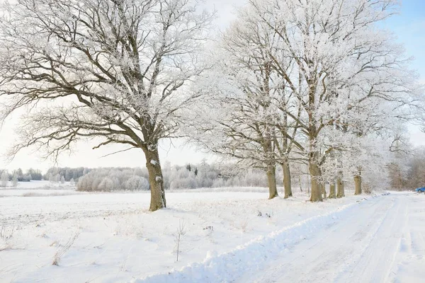 Kırsal alanda, karla kaplı tarlaların içinden geçen köy yolu. Arabadan görüntü. Kar sürükleniyor. Avrupa. Doğa, Noel tatilleri, uzak yerler, kış lastikleri, tehlikeli sürüş konsepti
