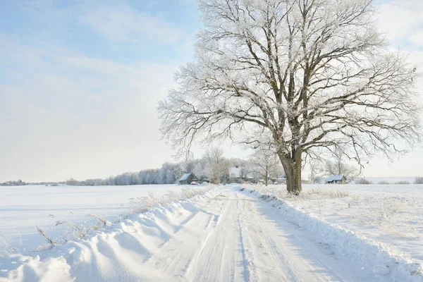 Camino Través Los Campos Cubiertos Nieve Pueblo Día Soleado Casas — Foto de Stock