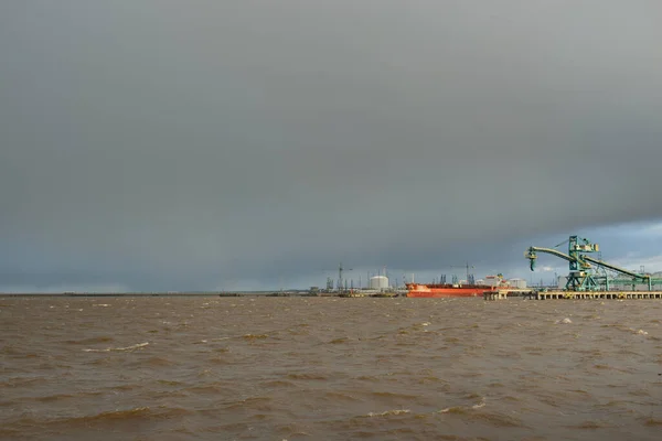 貨物港ターミナルに停泊する大型船 穀物ローダークレーン バルト海 グローバル通信 — ストック写真