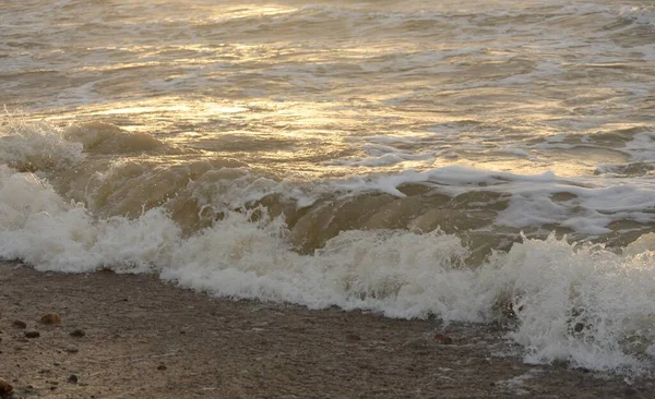 Fırtınadan sonra Baltık kıyıları. Gün batımı, yumuşak güneş ışığı. Su yüzeyi dokusu, çarpan dalgalar, sıçramalar, köpük. Resimli panoramik manzara. Idyllic deniz manzarası. Doğa, çevre, ekoloji temaları
