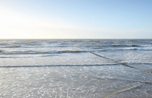 Gün batımında Baltık kıyısı. Yumuşak altın güneş ışığı, parlayan gökyüzü, dalgalar. Idyllic deniz manzarası. Seyahat yerleri, eko turizm, doğa, hava durumu, iklim değişikliği. Resimli panoramik manzara