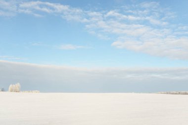 Orman çayırı ve kır arazisi. Saf güneş ışığı, açık mavi gökyüzü. Kış Harikalar Diyarı. Idyllic kırsal kesim. Ekoloji, eko turizm, çevre koruma, noel tatilleri, kayak, uzak yerler