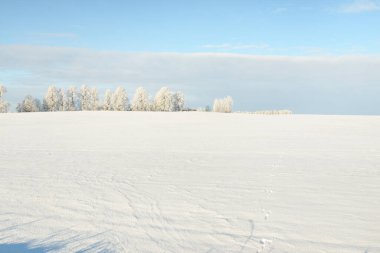 Orman çayırı ve kır arazisi. Saf güneş ışığı, açık mavi gökyüzü. Kış Harikalar Diyarı. Idyllic kırsal kesim. Ekoloji, eko turizm, çevre koruma, noel tatilleri, kayak, uzak yerler
