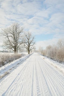 Kırsal alanda, karla kaplı tarlaların içinden geçen köy yolu. Arabadan görüntü. Kar sürükleniyor. Avrupa. Doğa, Noel tatilleri, uzak yerler, kış lastikleri, tehlikeli sürüş konsepti
