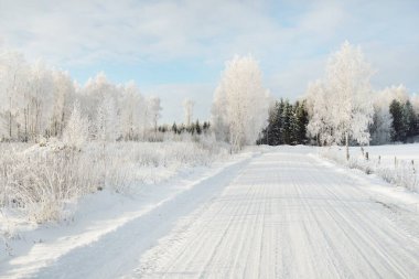 Kırsal alanda, karla kaplı tarlaların içinden geçen köy yolu. Arabadan görüntü. Kar sürükleniyor. Avrupa. Doğa, Noel tatilleri, uzak yerler, kış lastikleri, tehlikeli sürüş konsepti
