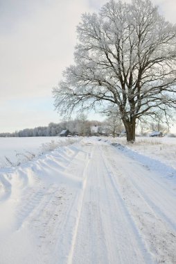 Güneşli bir günde karla kaplı tarlaların ve köyün içinden geçen yol. Arka plandaki kır evleri. Idyllic manzara. Noel tatilleri, eko turizm, yürüyüş, kayak, uzak yerler, off-road teması