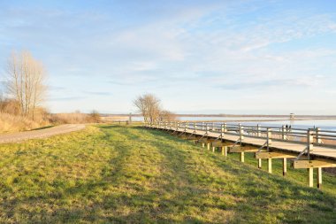 Modern ahşap yürüyüş yolu (bisiklet yolu, tahta yol). Eğlence alanı, orman parkı. Yumuşak güneş ışığı, açık gökyüzü. Baharın başında. Idyllic manzara. Doğa, çevre, ekoloji, eko-turizm, tatiller, hafta sonu