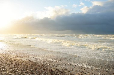 Fırtınadan sonra Baltık kıyıları (kum tepeleri, plaj). Dramatik gökyüzü, parlayan bulutlar. Resimli panoramik manzara. Doğa, çevre, ekoloji, eko-turizm, yürüyüş, keşif kavramları