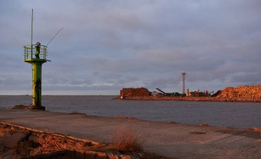 Kargo iskelesine yeni yapılmış odun yükleme. Yük taşımacılığı, lojistik, küresel iletişim, sanayi, ekonomi, ticaret, kereste sanayii, siyaset, yolsuzluk, ekolojik sorunlar