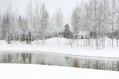 Orman nehri ve bulutlu bir kış gününde geleneksel yalnız ev. Kar fırtınası, kar tepeleri. Genç ladin ve huş ağaçları. Idyllic kırsal kesim. Noel tatilleri, ekolojik tatil beldeleri, uzak yerler