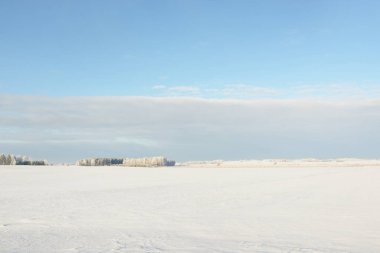 Orman çayırı ve kır arazisi. Saf güneş ışığı, açık mavi gökyüzü. Kış Harikalar Diyarı. Idyllic kırsal kesim. Ekoloji, eko turizm, çevre koruma, noel tatilleri, kayak, uzak yerler