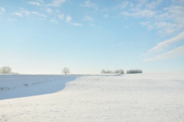 Orman çayırı ve kır arazisi. Saf güneş ışığı, açık mavi gökyüzü. Kış Harikalar Diyarı. Idyllic kırsal kesim. Ekoloji, eko turizm, çevre koruma, noel tatilleri, kayak, uzak yerler