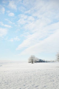 Orman çayırı ve kır arazisi. Saf güneş ışığı, açık mavi gökyüzü. Kış Harikalar Diyarı. Idyllic kırsal kesim. Ekoloji, eko turizm, çevre koruma, noel tatilleri, kayak, uzak yerler