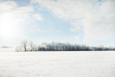 Orman çayırı ve kır arazisi. Saf güneş ışığı, açık mavi gökyüzü. Kış Harikalar Diyarı. Idyllic kırsal kesim. Ekoloji, eko turizm, çevre koruma, noel tatilleri, kayak, uzak yerler