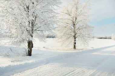 Kırsal alanda, karla kaplı tarlaların içinden geçen köy yolu. Arabadan görüntü. Kar sürükleniyor. Avrupa. Doğa, Noel tatilleri, uzak yerler, kış lastikleri, tehlikeli sürüş konsepti